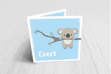 Lieve koalabeer Lieve koalabeer